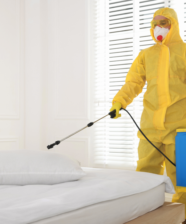 Professional Pest Control Team in Hackham